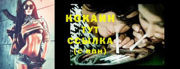 прущие грибы Белоозёрский