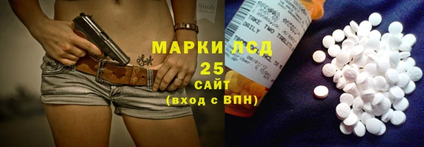 прущие грибы Белоозёрский