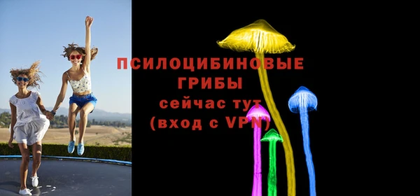 прущие грибы Семикаракорск