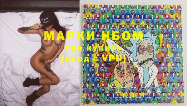 прущие грибы Белоозёрский