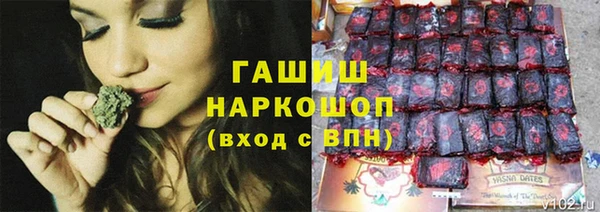 прущие грибы Белоозёрский