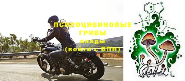 прущие грибы Белоозёрский