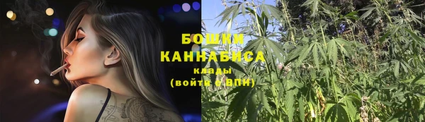 spice Белокуриха